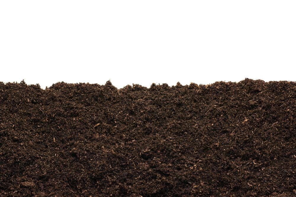 7 beneficios de la tierra negra para jardines
