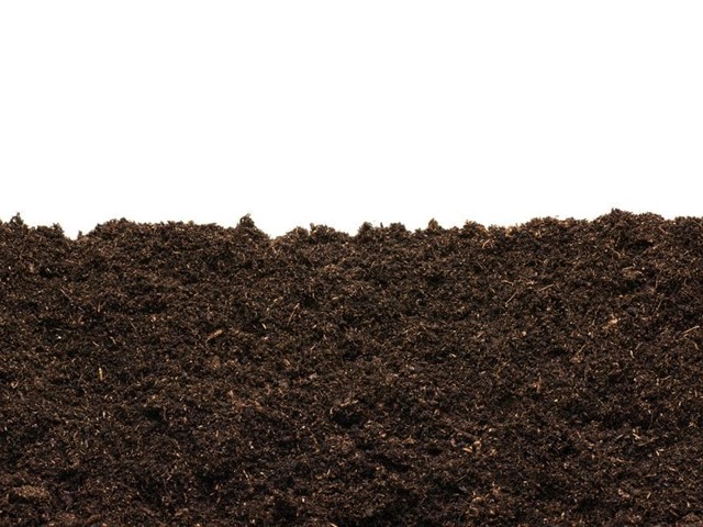 7 beneficios de la tierra negra para jardines