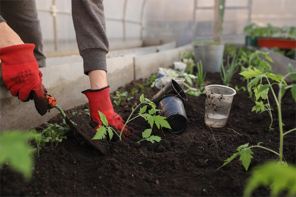 Beneficios de la tierra negra para jardines