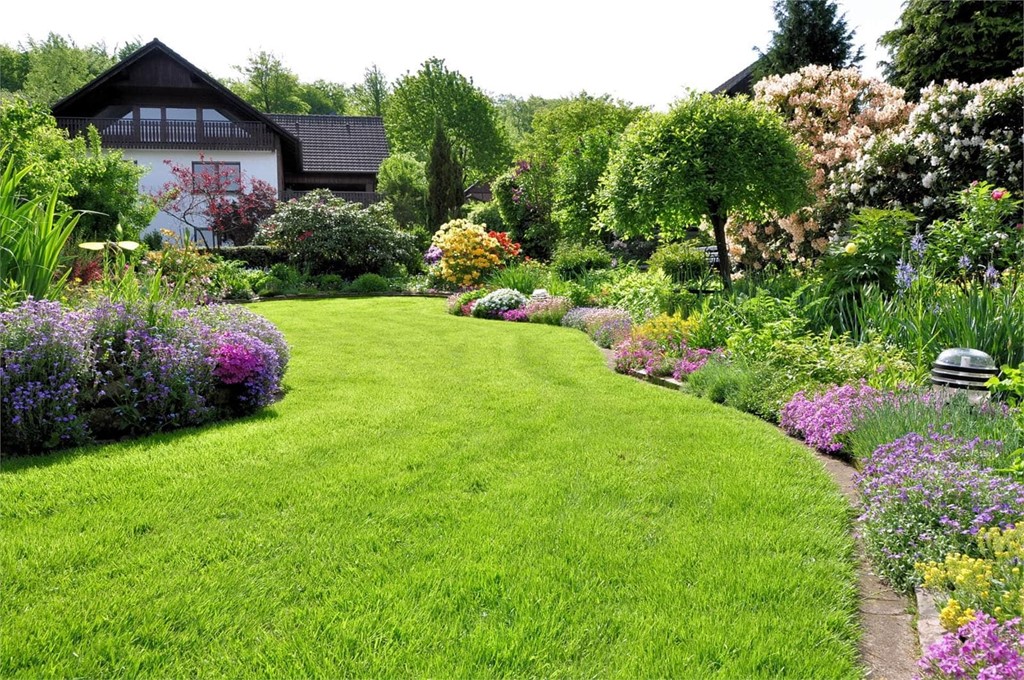 ¿Cómo se prepara un terreno para plantar?