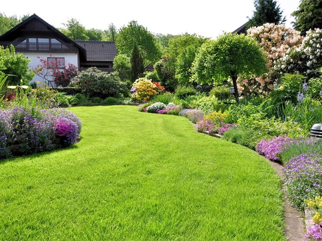 ¿Cómo se prepara un terreno para plantar?