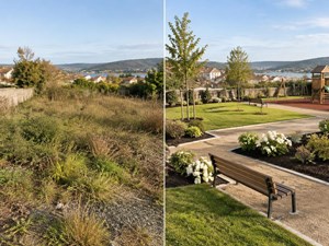 ¿Cómo transformar un terreno baldío en un jardín funcional?