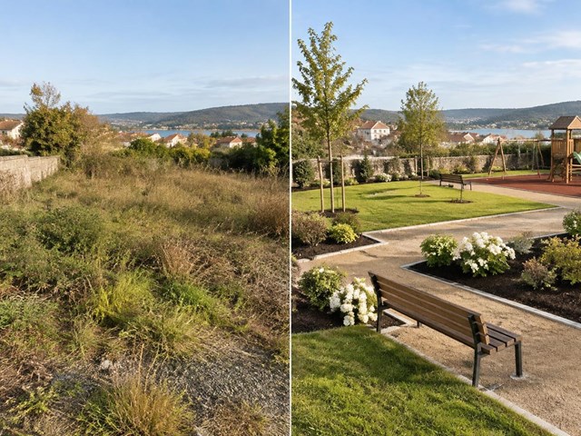 ¿Cómo transformar un terreno baldío en un jardín funcional?
