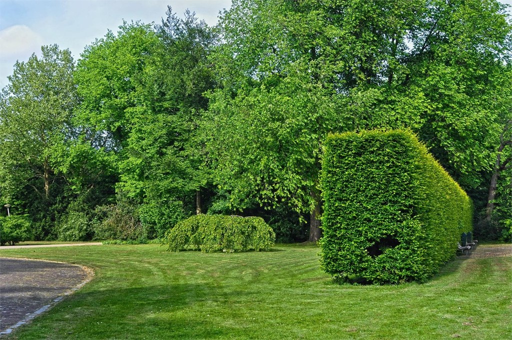 Construcción de parques y jardines