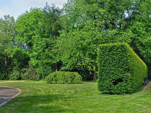 Construcción de parques y jardines