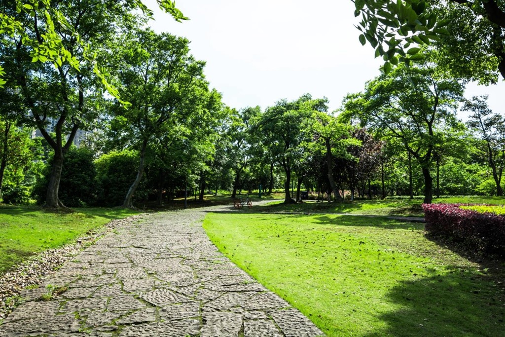 ¿En qué se caracterizan los trabajos en parques y jardines de Construcciones Vale?