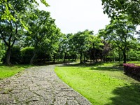 ¿En qué se caracterizan los trabajos en parques y jardines de Construcciones Vale?