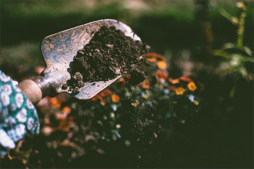 Prepare su jardín con tierra negra: propiedades y usos