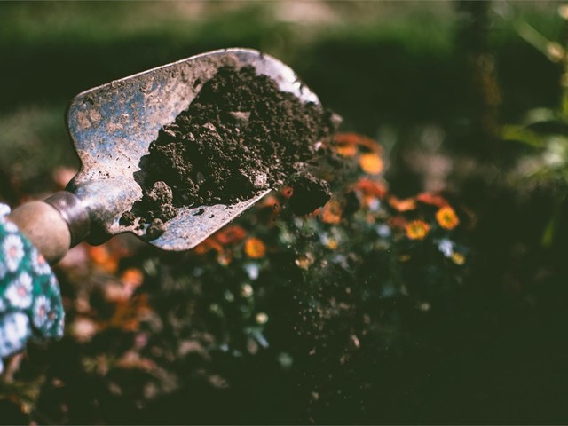 Prepare su jardín con tierra negra: propiedades y usos