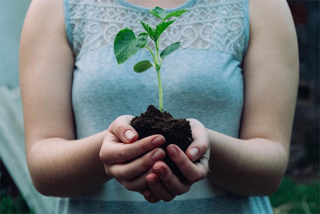 Tierra negra: ¿por qué es tan buena para la agricultura?