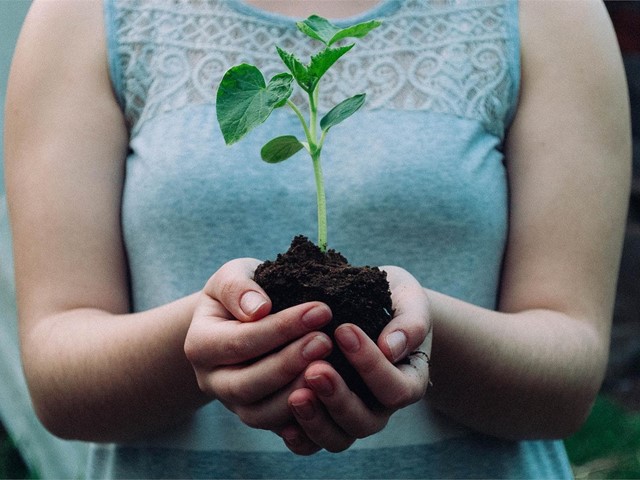 Tierra negra: ¿por qué es tan buena para la agricultura?